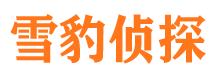 江华侦探公司